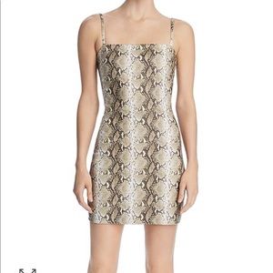 Tiger Mist Viper Dress